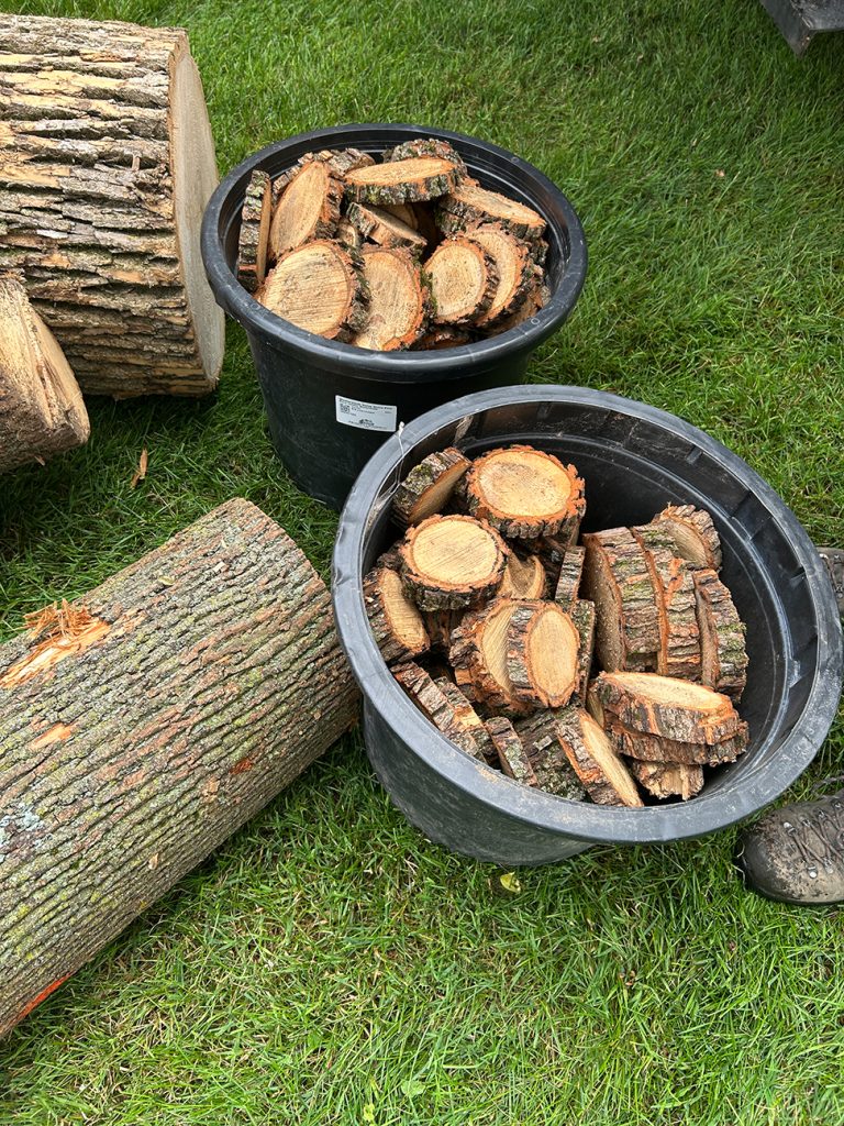 Our Nature-based Playground is AWESOME!